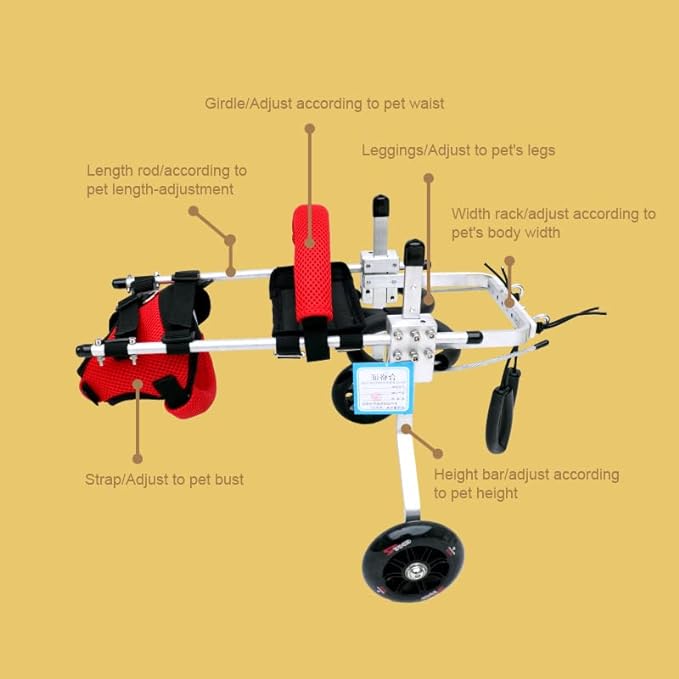 Cat Wheelchair Adjustable 2 Wheels Pet Wheelchair Lightweight Cat Barrier Wheels for Rehabilitation Aid for The Back Legs of Aging, Disabled, Injured, Arthritis, Weak Cats/Pets (XS)