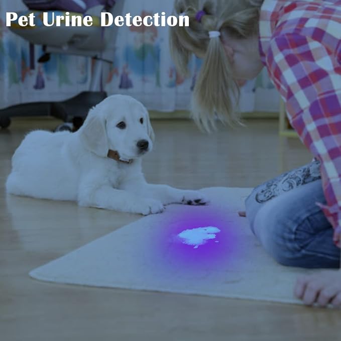 UV Flashlight Black Light, Small Portable Blacklight Flashlight UV Light, 12 LED Mini Black Light Flashlight for Pet Urine Detection (Dog Cat), Scorpion, Resin Curing, Bed Bug