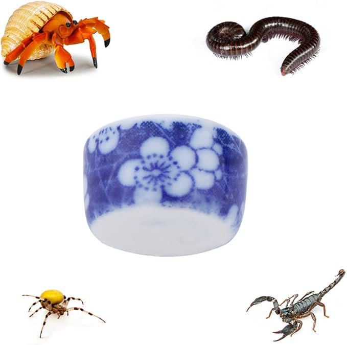 9 Pcs Spider Micro Ceramic Water Bowl, Hermit Crab Mini Dish for Spider Tarantula Hermit Crab Millipede Tiny Reptile