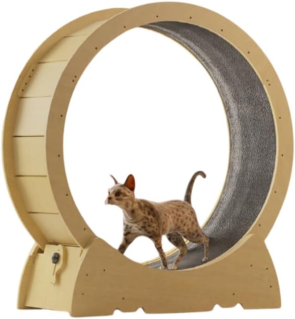 Cat Wheel Exercise Cat Treadmill for Fitness Weight