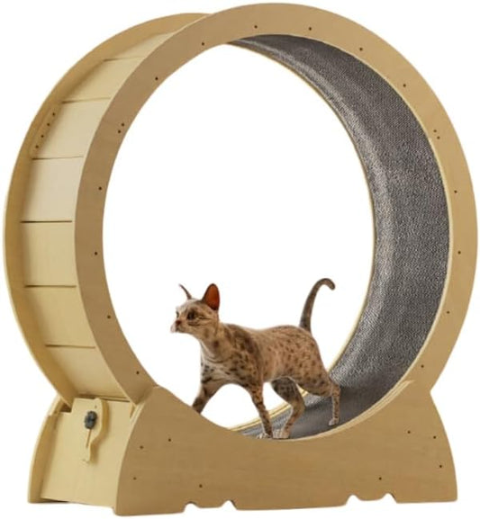 Cat Wheel Exercise Cat Treadmill for Fitness Weight