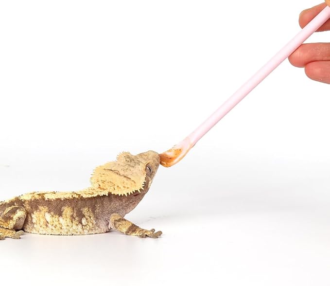 2Pcs Reptile Powder Fruit Mixing Stirring Food Feeding Spoon fit Crested Gecko Gargoyle Bearded Dragon - Pink