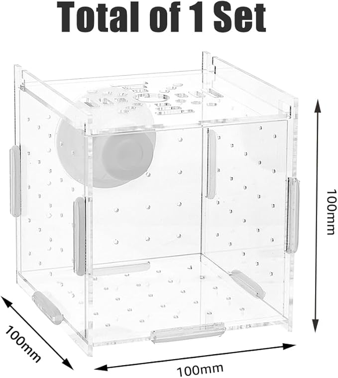 SUPERFINDINGS Fish Breeding Box Aquarium Breeding Isolation Box Acrylic Transparent Fish Tank Acclimation Separator for Aquarium Fish Spawning Hatching Maternity Room with Suction Cup 10x10x10cm