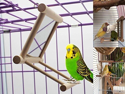 Hypeety Bird Parrot Mirror Toy Swing Hanging with Perch for Parrot Parakeet Budgies Cockatiel Conure Finch Lovebird African Grey Amazon Cockatoo (D)