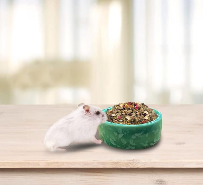 kathson 2 Pcs Hamster Food Bowl Guinea Pig Ceramic Water Bowl Small Animal Feeding Dish for Dwarf Hamster Gerbil Syrian Ferret Hedgehog Chinchilla Bunny (Green)…