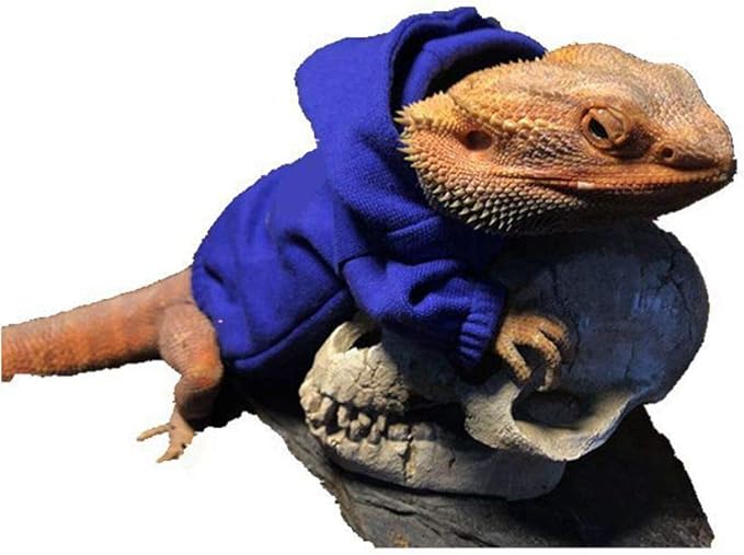 Lizard Clothes for Bearded Dragons Reptile Apparel Handmade Cotton Material Hoodies Sweater for Skin Protection Photo Party for Crested Gecko Chameleon