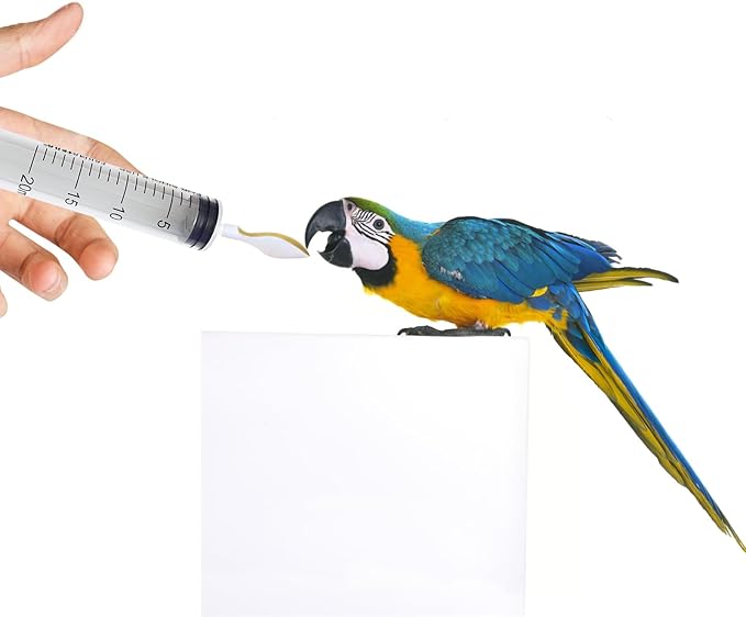 4 Pieces Baby Bird Feeding Syringe with 2 PCS 20ml Syringes, 2PCS 60ml Syringes and 4 Soft Feeding Spoons, Feeding Tool for Small Animals, Pet Feeding Tool, Pet Syringe, Bird Parrot Feeder Spoon