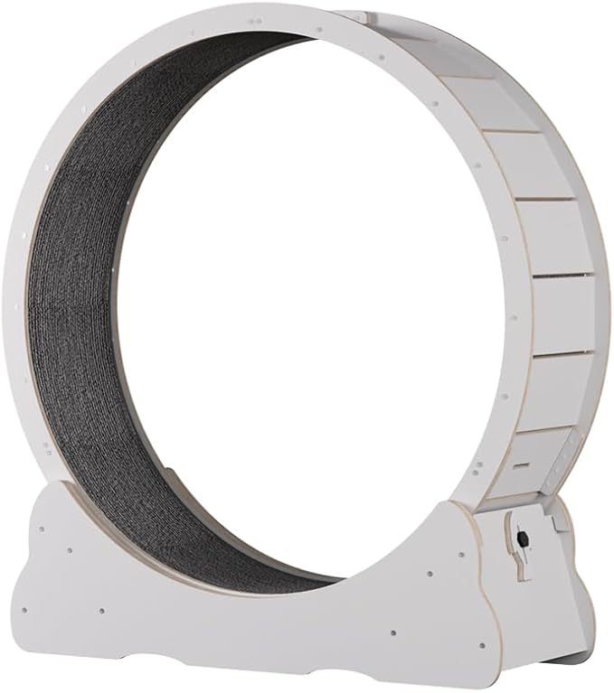 Cat Wheels for Indoor Cats. Extra Large Diameter Cat Treadmill. Made of Natural Solid Wood. Inside Diameter 40in/100cm. Including Installation Tools and Cat Teaser. (White)