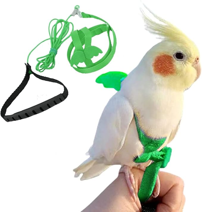 Birds Adjustable Harness and Leash, Parrot Outdoor Flying Training Traction Rope Straps with Cute Wing for Small Animal Birds, Parrots, Pigeons, Lizard, Turtles (XS,Green)