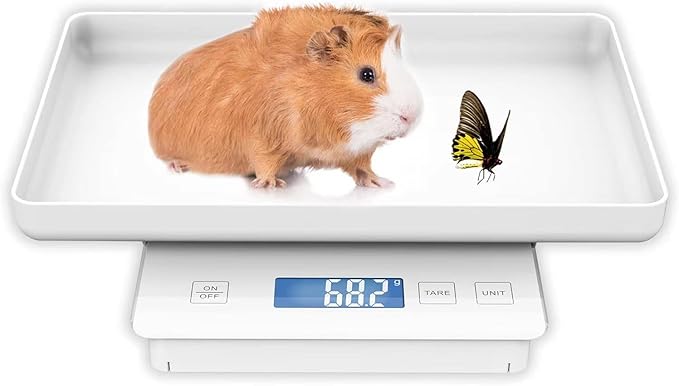 11lbs/0.1g Pet Scale for Small Animal, Whelping Scale, Guinea Pig Weighing Scale, High Precision 0.003oz, Suitable for All Newborn Pets, Kittens, Turtles,