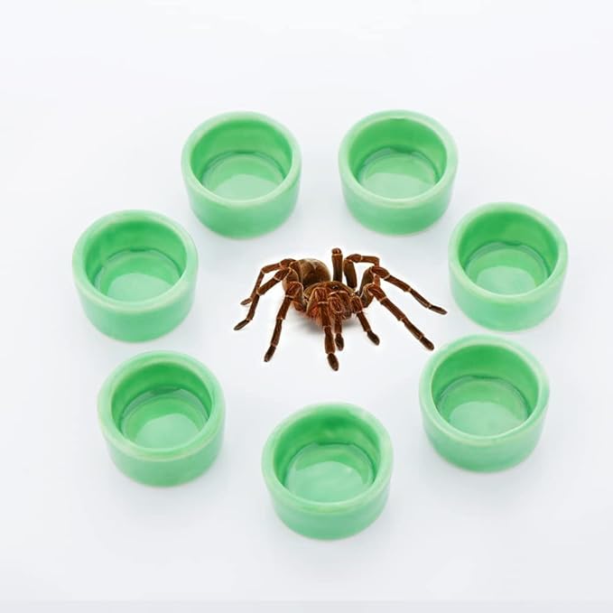 9 Pcs Small Spider Water Bowl Tarantula Ceramic Mini Dish for Tarantula Spider Millipede Tiny Bugs Terrarium Breeding Feeders (Green)