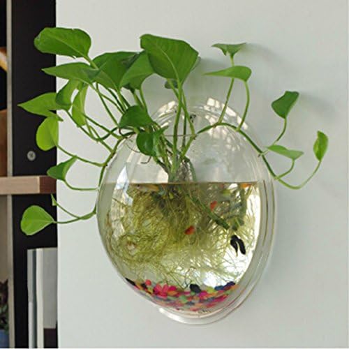 Outgeek Wall Fish Bubble Wall Hanging Bowl Clear Acrylic Vase Flower Plant Pot Aquarium 9in (0.5-Gallon)
