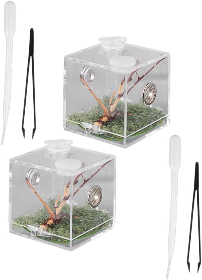 balacoo 4 Sets Jumping Spider Enclosure: Spider Cage Habitat Terrarium Micro Scorpion Droppers Reptile Hide Clear Jumping Enclosure Breeding Box Case with Breeding Tweezers Tank