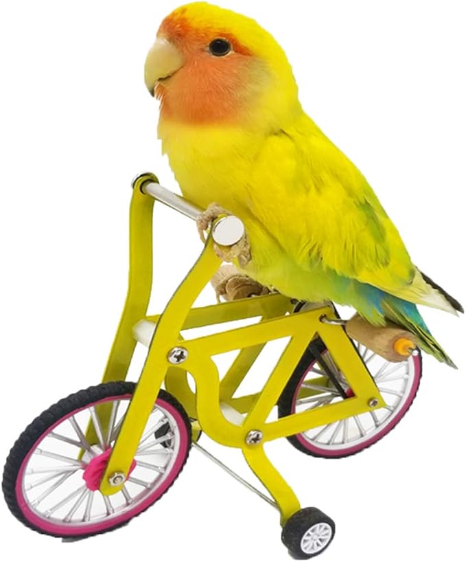 QBLEEV Bird Intelligence Training Toy，Parrot Puzzle Bicycle Toy for Small Medium Bird，Parrot Educational Table Top Trick Prop Toy，Bird Foot Talon Toy for African Grey Cockatoo Eclectus Conures