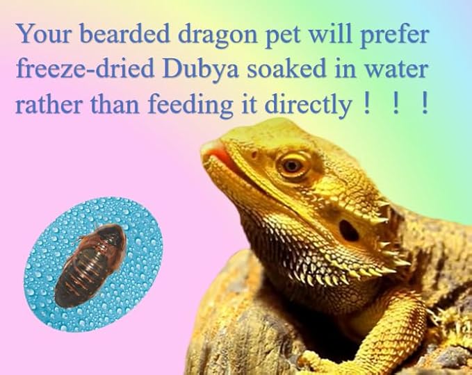 16oz Freeze-Dried Dubia - High Protein Reptile & Amphibian Food