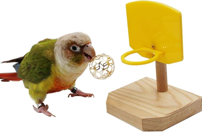 QBLEEV Bird Basketball Toy, Bird Chew Ball Foraging Toys, Parrot Activity Toys, Bird Training Gym Toys