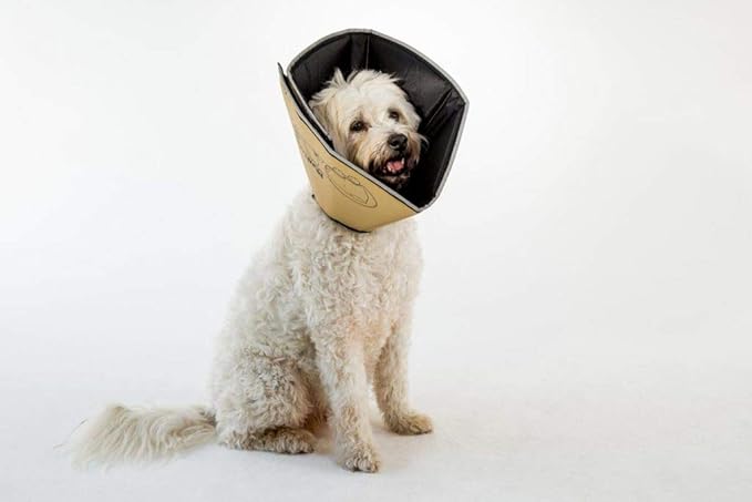 Comfy Cone Pet Cone for Dogs, Cats, Medium, Tan - Comfortable Soft Dog Cone Collar Alternative for After Surgery, Wound Care, Spay, Neuter - Dog and Cat Recovery Collar