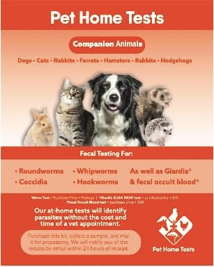 Companion Animal Worm Test