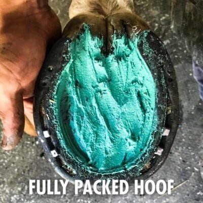 *New Heat Resistant Formula* Horse Hoof Thrush Treatment Clay and White Line Equine Care: Effective on Horses, Cows, Goats, Sheep, Pigs and All Hooved Animals- 25 oz Jar