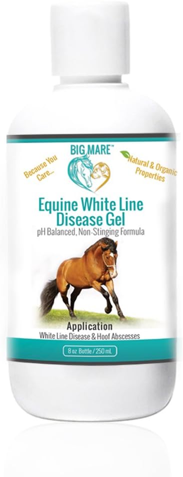 Horse White Line Gel for Equine Hoofs | Effective On Abscesses & White Line Hoof Disease