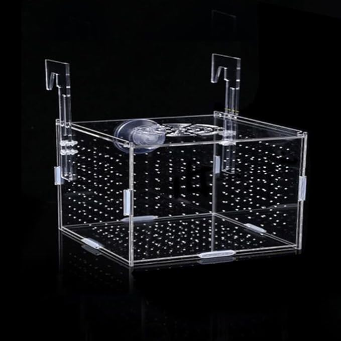 Acrylic Fish breeding Box, Fish Separation Breeder Box Acrylic Fish Tank Breeding Isolation Box for Aquarium Hatchery Incubator with Suction Cups for Baby Fishes Shrimp Clownfish (6*4*4inch)