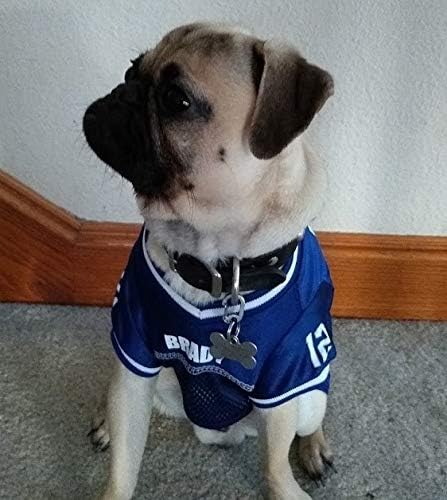 Klippy 2-Pack, 2 Pet Tag Quick Clips, Perfect for Dogs and Cats, Blue