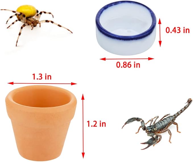 2 Pcs Spider Ceramic Small Hideout Shelter, with 6 Pcs Micro Water Bowl for Tarantula Scorpion Millipede Spider Tiny Reptile