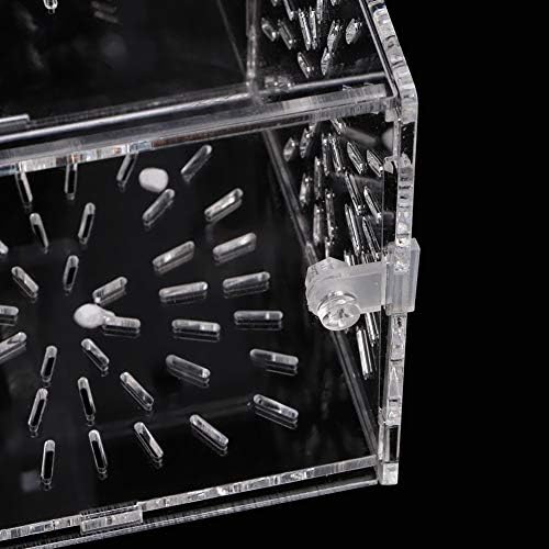 Fish Separation Breeder Box, Acrylic Fish Breeding Isolation Box Aquarium Hatchery Incubator Holder(C-30x10x10cm)