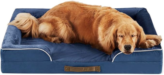 Friends Forever Orthopedic Dog Bed, Bolster Dog Bed with Memory Foam Dog Couch Sofa and Removable Washable Cover, Ally Navy, 42x32x7