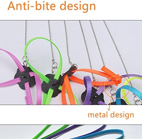 Hypeety Reptile Lizard Outdoor Walk Adjustable Harness Leash Anti-bite Light Soft Bearded Dragon Accessories Parrot African Grey Cockatoo Macaw Ringneck Outside Free Lovebird Supplies (Random Color)