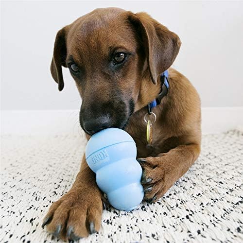 KONG - Snacks - All Natural Dog Treats Classic Rubber Toys - Puppy Recipe for Large Puppies (11 Ounce)