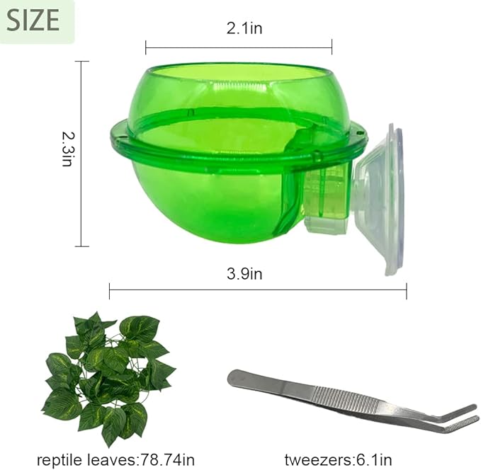 Chameleon Feeding Bowl with Suction Cup,Reptiles Feeder Water Bowls Anti-Escape Worm Live Fodder Translucent Container Ledge Dish Supplies for Lizard Bearded Dragon Gecko Snake(4Pcs)