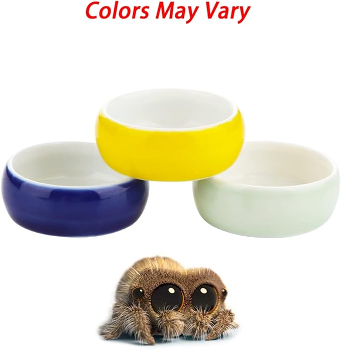 6 Pcs Tarantula Colorful Food Bowl Hermit Crab Water Bowl Spider Small Reptile Micro Ceramic Dish