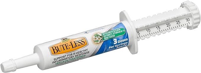 Absorbine Bute-Less Long-Term Horse Comfort & Recovery Supplement Paste, Gentle on Stomach, Devil’s Claw, Vitamin B-12, Yucca, 1oz Syringe / 3 Doses