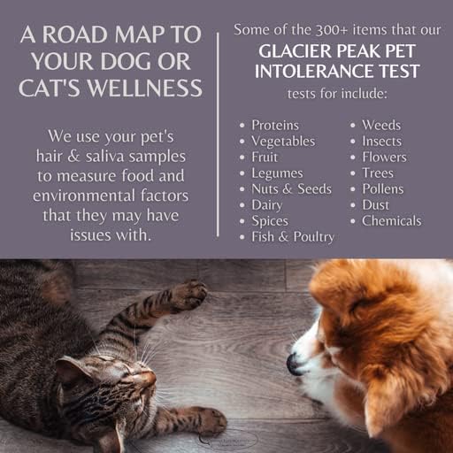 Glacier Peak Holistics Original Pet Intolerance Test - Test Over 300 Food and Environmental Stressors with an Easy at-Home Hair and Saliva Collection Kit - Results in 7-10 Days.