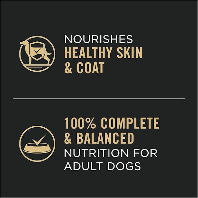 Purina Pro Plan Complete Essentials High Protein Chicken and Rice Entree Adult Dog Food Wet Pate, 13 oz., Case of 12