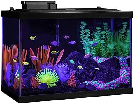 GloFish 20 Gallon Aquarium Kit with LED Lights, Decor Heater and Filter