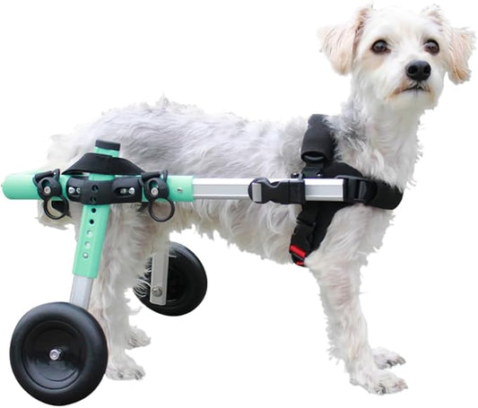 Walkin' Wheels Small Dog Wheelchair, Lightweight Dog Wheelchair for Back Legs, 11-14 lbs, for 3-6 inches Leg Height - Seafoam