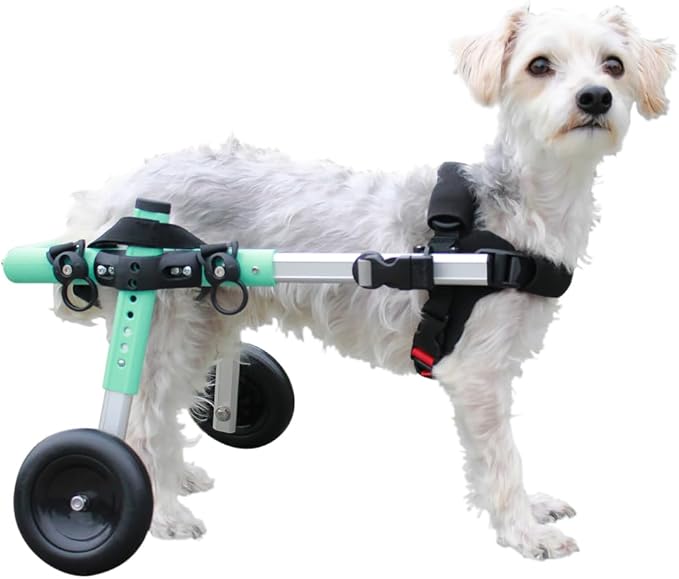 Walkin' Wheels Small Dog Wheelchair, Lightweight Dog Wheelchair for Back Legs, 15-25 lbs, for 12-15 inches Leg Height - Seafoam