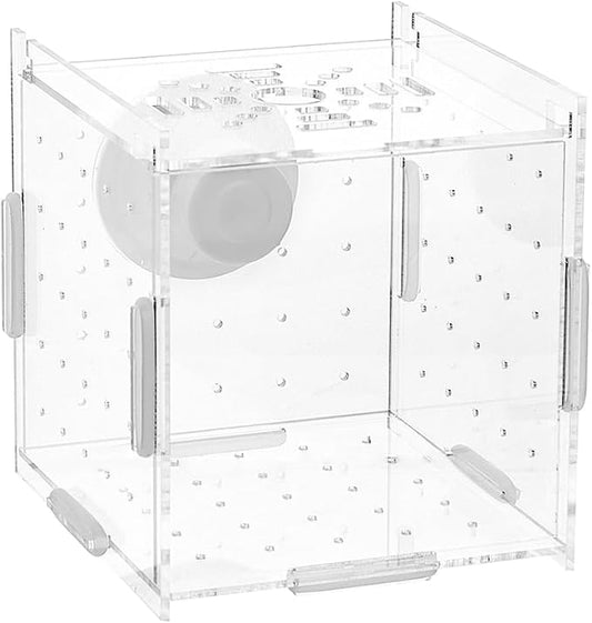 SUPERFINDINGS Fish Breeding Box Aquarium Breeding Isolation Box Acrylic Transparent Fish Tank Acclimation Separator for Aquarium Fish Spawning Hatching Maternity Room with Suction Cup 10x10x10cm