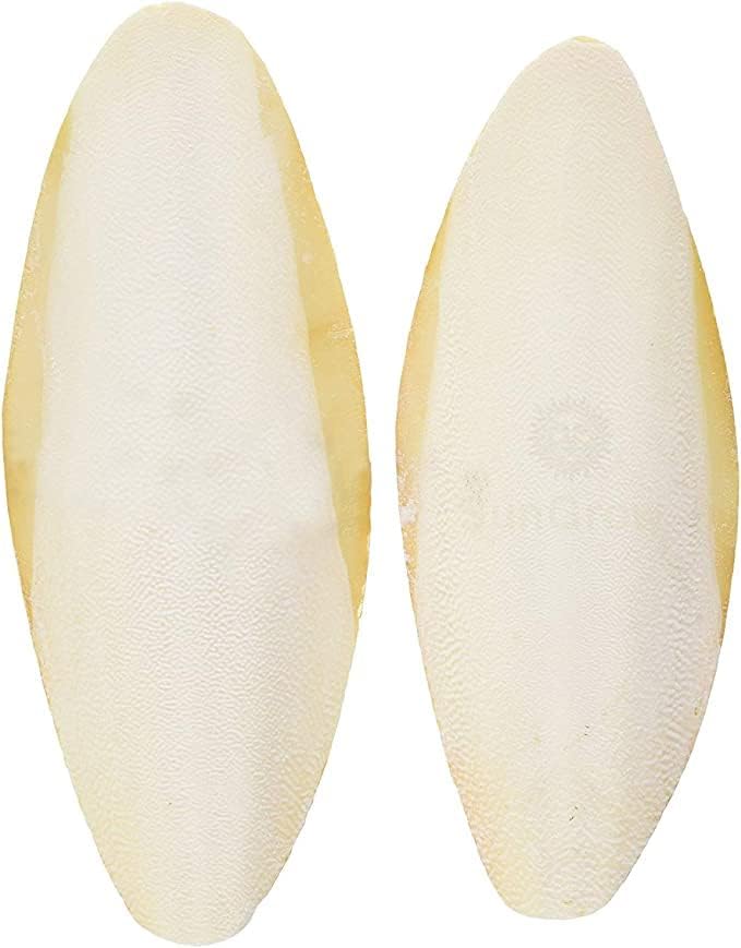 SunGrow Large Cuttlefish Bones for Cockatiels, Turtles, Shrimp, Dog Calcium Supplement, Cage Holder Included, 2 Pieces per Pack