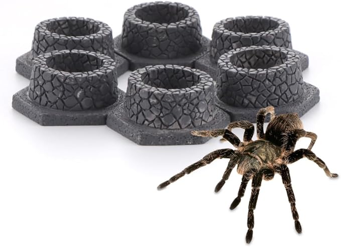 6 Pcs Tarantula Micro Water Bowl Mini Resin Dish Tiny Bowl for Spider Tarantula Millipede Insect Small Reptile (Well Shape)