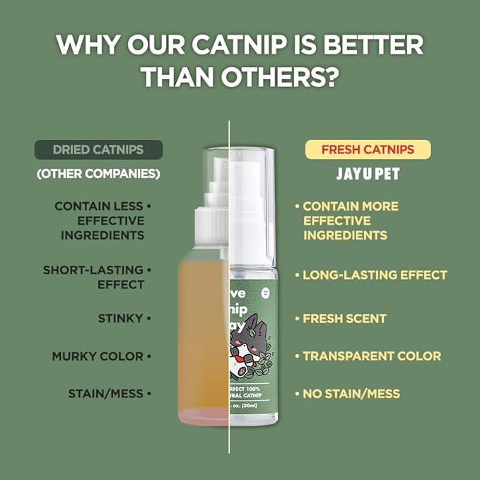 Active Catnip Spray - High Potency Transparent Liquid Spray made of Fresh Organic Catnip for Indoor Cats and Kittens, Relieves Stress, Calming, Revives Toys & Scratching Posts, Exercise (1fl oz)