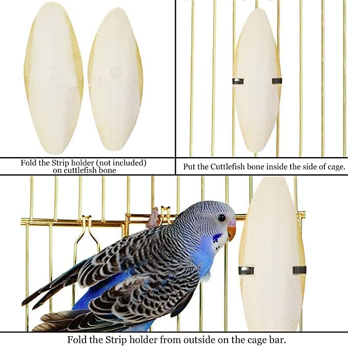 SunGrow Large Cuttlefish Bones for Cockatiels, Turtles, Shrimp, Dog Calcium Supplement, Cage Holder Included, 2 Pieces per Pack