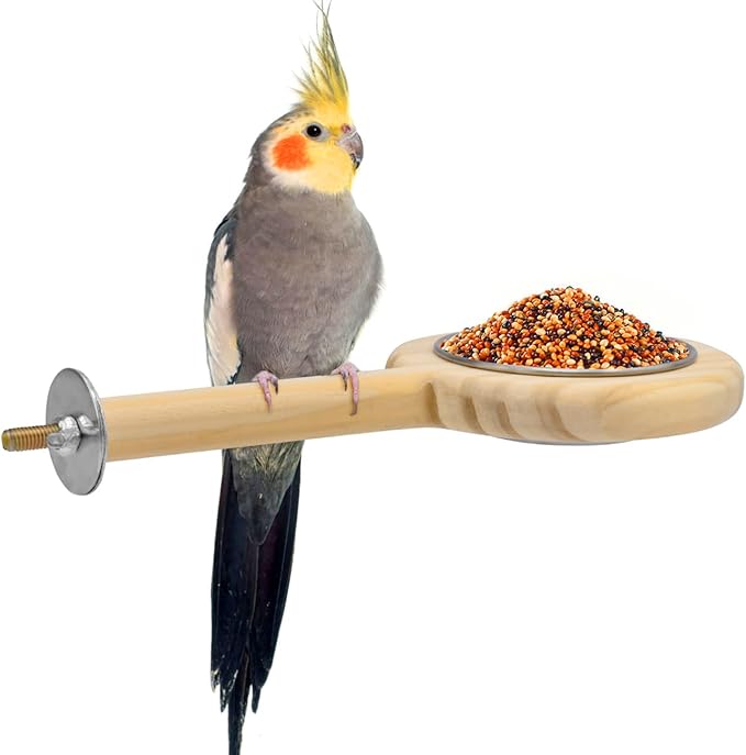 KATUMO Bird Perch Bird Feeding Cup Parrot Wood Perch Stand Toy Bird Cage Accessory for Parakeet Lovebird Cockatiel Conure Budgie Small Parrots