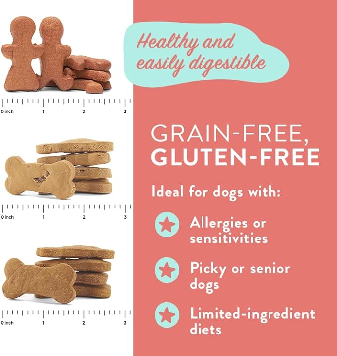 Portland Pet Food Company Healthy Dog Treats Vegan Variety Pack - Grain-Free, Human-Grade, Apple, Gingerbread, Pumpkin Dog Treats - Natural Dog Training Treats & Biscuits Made in the USA Only - 3-Pack