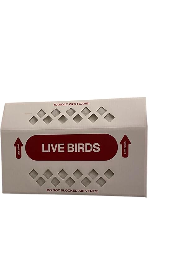 Shipping Box for Live Birds Economy Size 18" x 8" x 12" Tall with Handle - for Poultry, Pigeons, & Canaries -1 Box