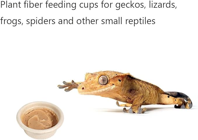 Paper Gecko Feeding Cups Reptiles Food and Water Bowls Feeder 0.5oz Small Cup Feeding Ledge Replacement Cups for Crested Gecko Lizards Spiders,100Pack