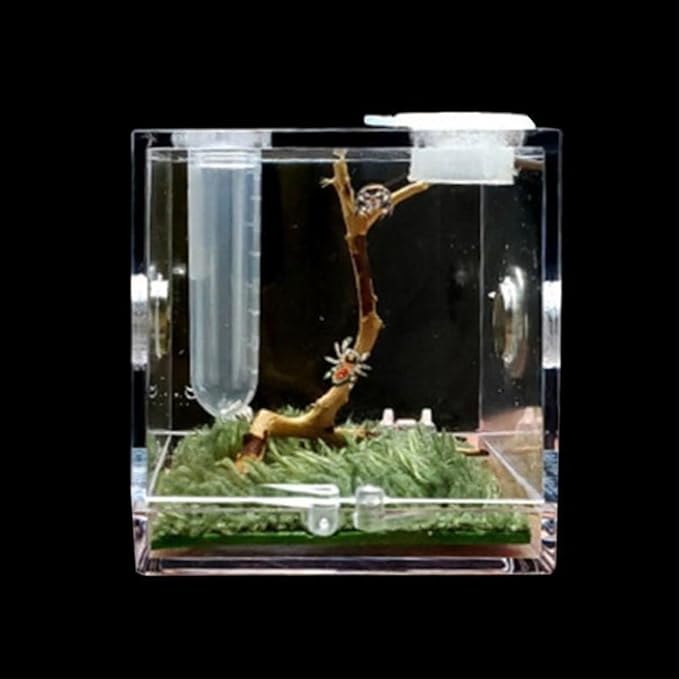 Insect Box Professional Spider Habitat Pet Supplies with Humidifier Spider Feeder Breeding Cage(Transparent)