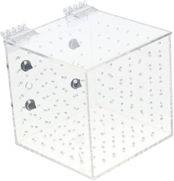 Aquarium Breeding Isolation Box Fish Tank (3.9 * 3.9 * 3.9inch) Hollow Aquarium Hatchery Incubator Holder Hatching Incubator Box